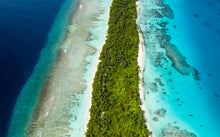 Load image into Gallery viewer, Paradise