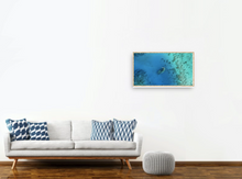 Load image into Gallery viewer, Shipwreck