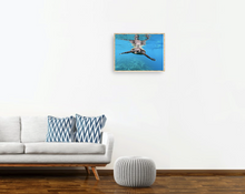 Load image into Gallery viewer, Serene