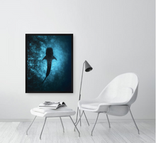 Load image into Gallery viewer, Solitary