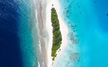 Load image into Gallery viewer, Seclusion