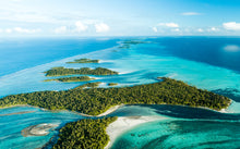 Load image into Gallery viewer, Tropical