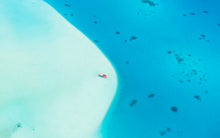 Load image into Gallery viewer, Halcyon