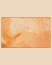 Load image into Gallery viewer, Conch Sarong